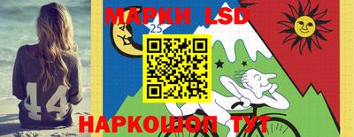 прущие грибы Будённовск