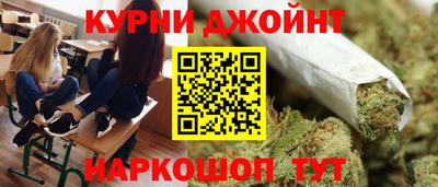 прущие грибы Будённовск