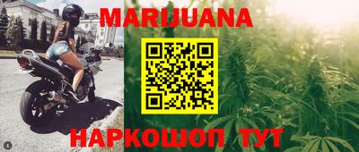 прущие грибы Будённовск